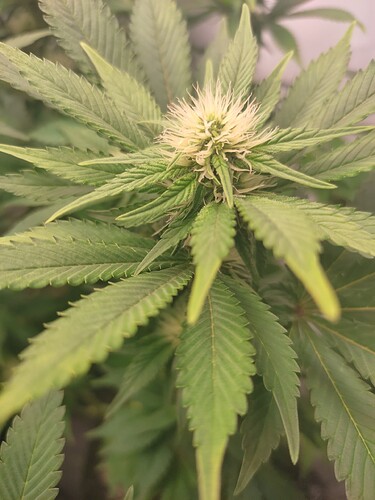 Growreport Bild 21