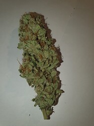 Growreport Bild 3