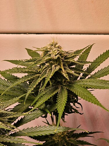 Growreport Bild 11