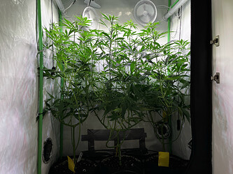 Growreport Bild 2