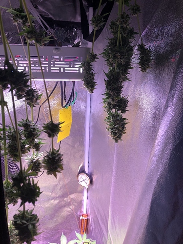 Growreport Bild 21