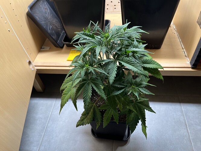 Growreport Bild 2