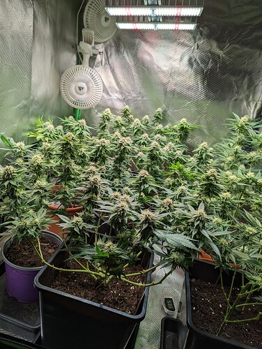 Growreport Bild 12