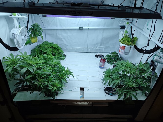 Growreport Bild 44