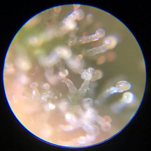 Growreport Bild 13
