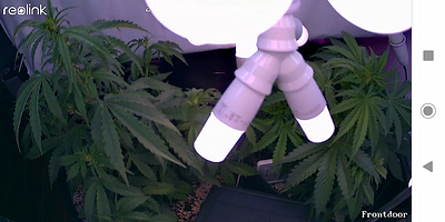 Growreport Bild 13