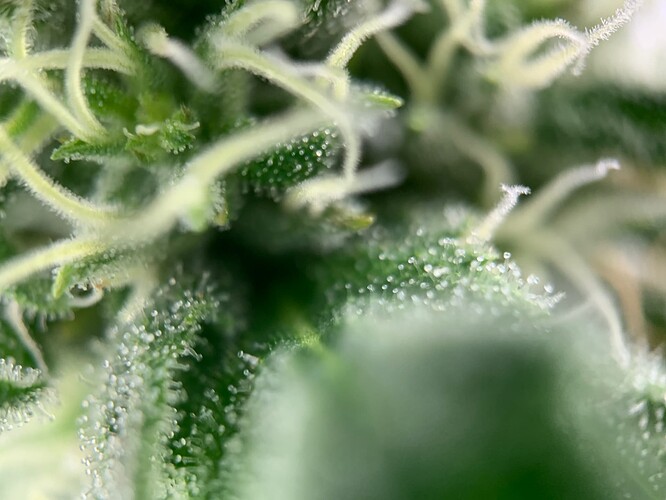 Growreport Bild 23