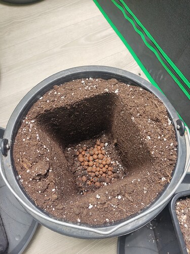 Growreport Bild 2
