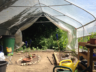 Growreport Bild 5