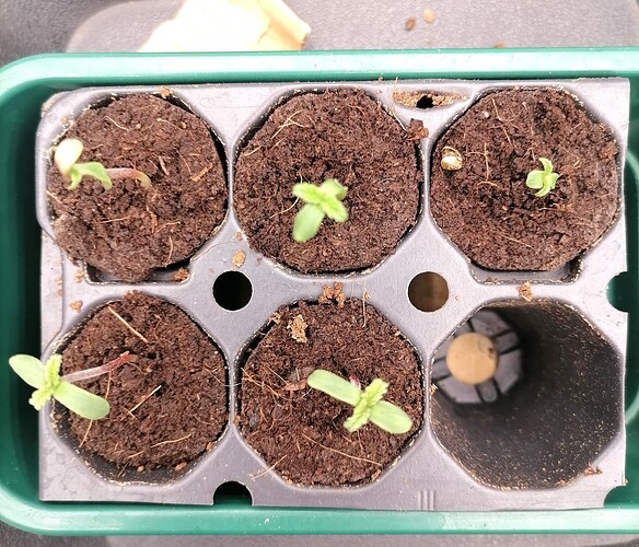 Growreport Bild 23
