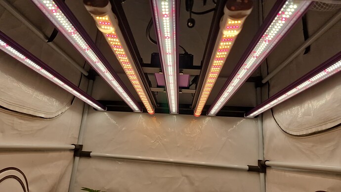 threema-20220728-214316703