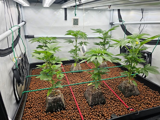 Growreport Bild 1