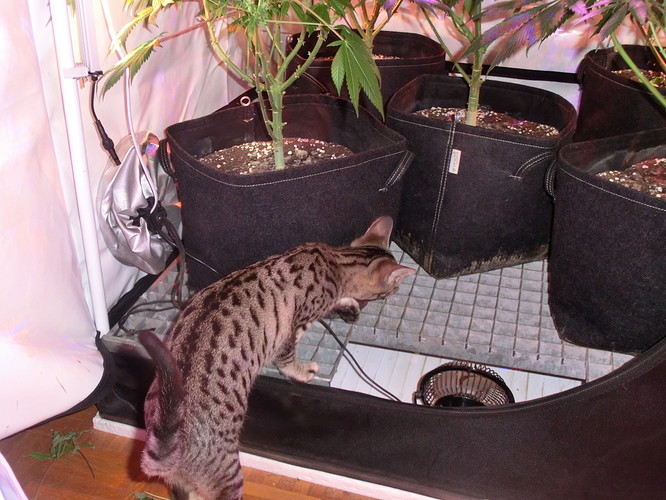 Growreport Bild 11