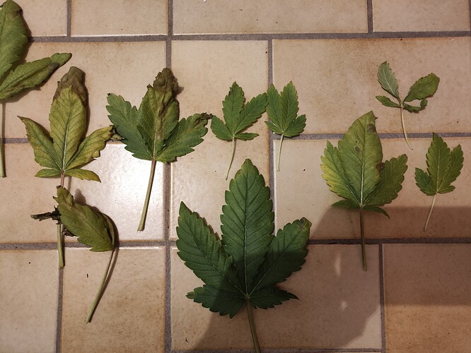 Growreport Bild 9