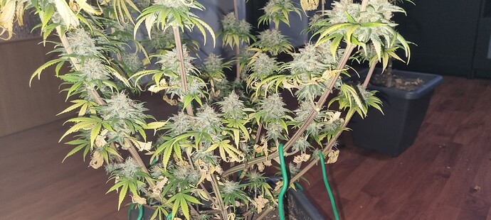 Growreport Bild 14