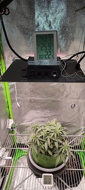IMG_20230818_000244