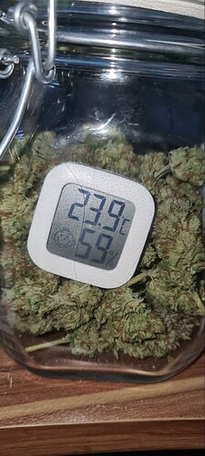 Growreport Bild 28