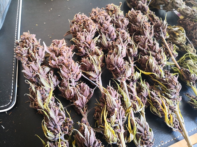 Growreport Bild 17
