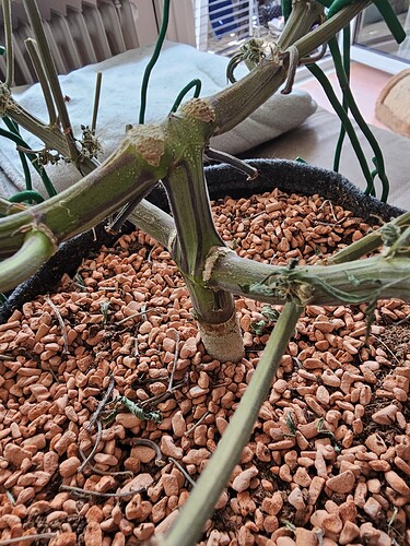 Growreport Bild 20