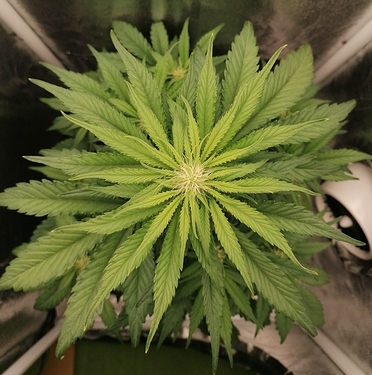 IMG_20200928_113722~01