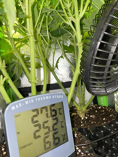 Growreport Bild 10