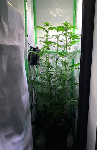 Growreport Bild 1