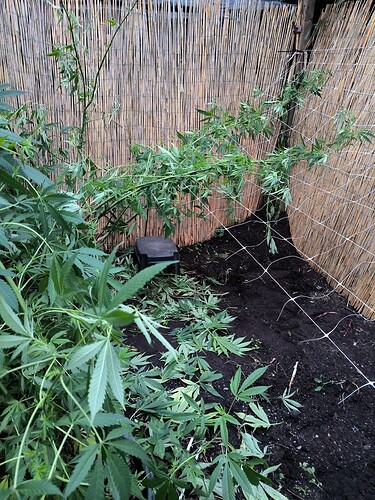 Growreport Bild 10