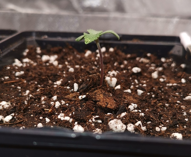 Growreport Bild 14