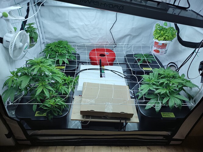 Growreport Bild 5