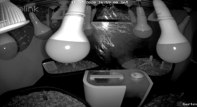 Growreport Bild 21