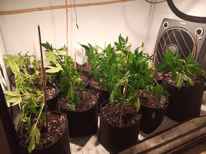 Growreport Bild 16