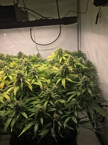 Growreport Bild 12