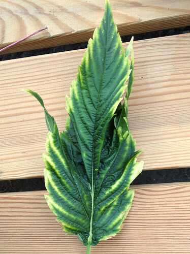 Growreport Bild 18