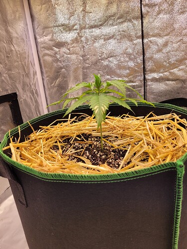 Growreport Bild 4