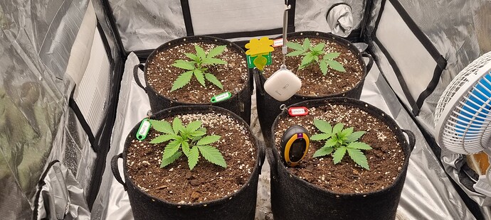 Growreport Bild 17