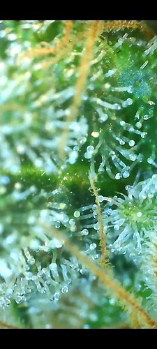 Growreport Bild 22