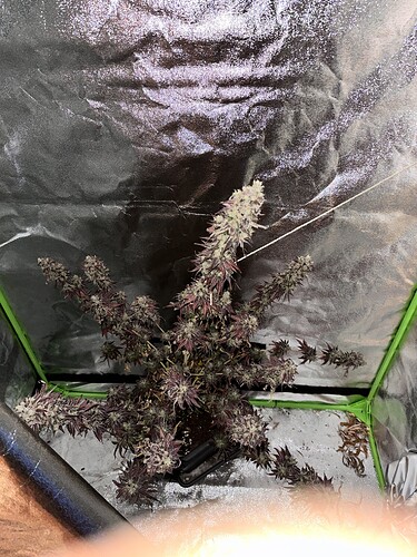Growreport Bild 18