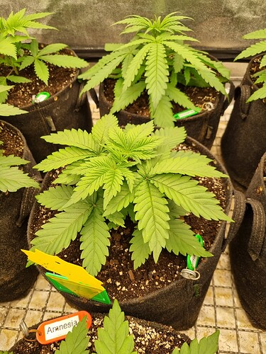 Growreport Bild 8
