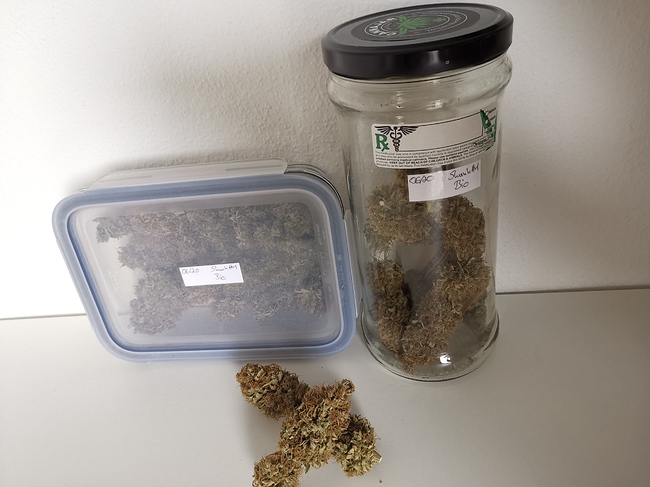 Growreport Bild 4