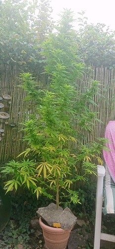 Growreport Bild 20