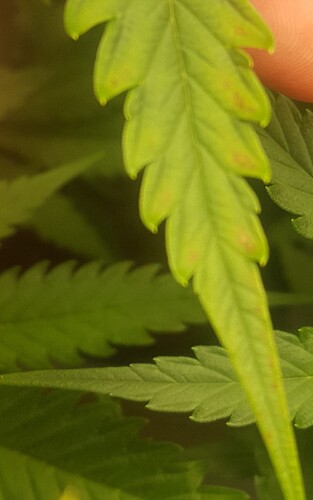 Growreport Bild 9