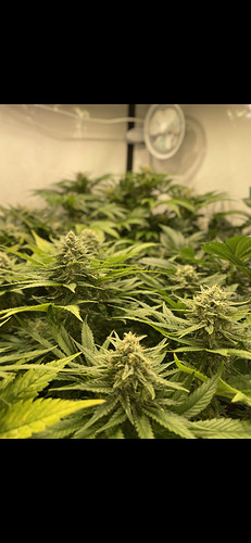 Growreport Bild 18