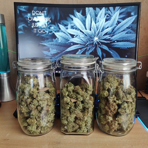 Growreport Bild 63