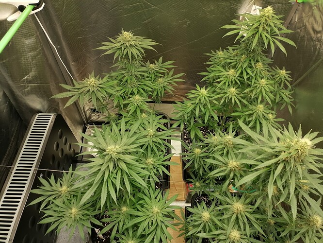 Growreport Bild 22