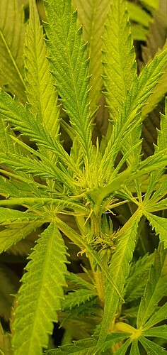 Growreport Bild 15