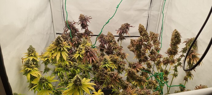 Growreport Bild 11