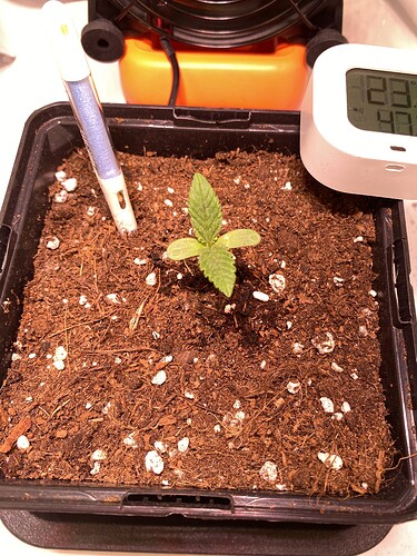 Growreport Bild 21