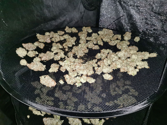 Growreport Bild 17