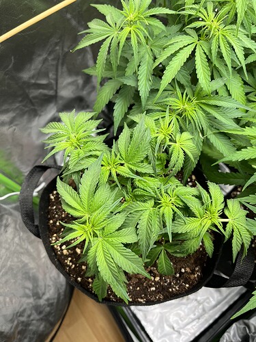Growreport Bild 10