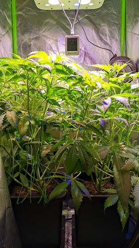 PXL_20220123_160545195.MP